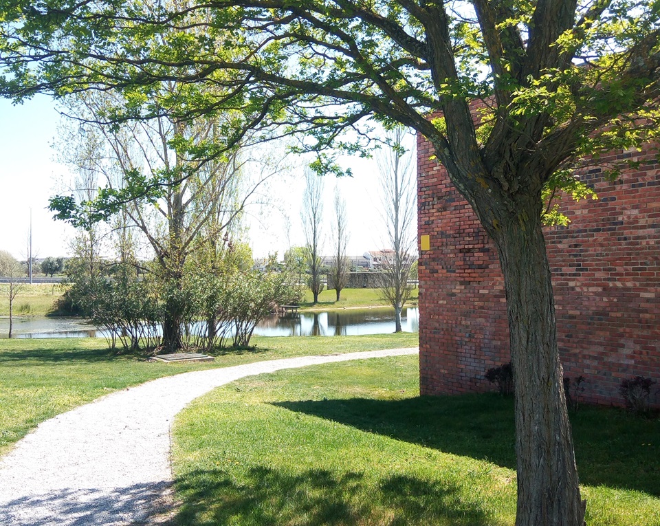 IMG 20190402 142716