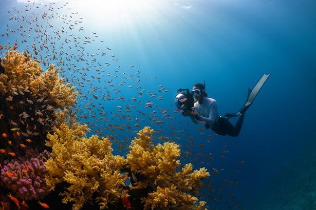 neom HXW26Gw8bk4 unsplash