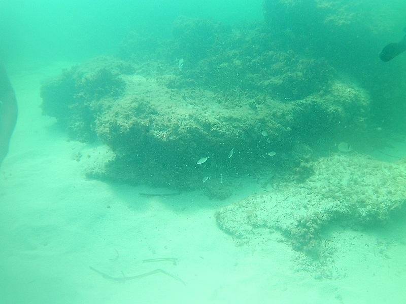 Tanto Mar 3
