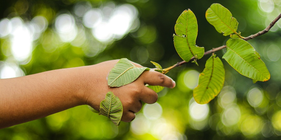 gaf clickz gryMACx9reI unsplash