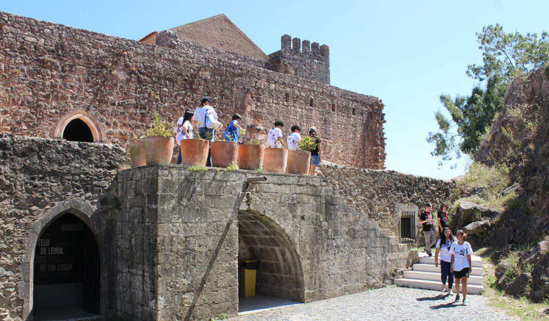 Castelo IMG 5239